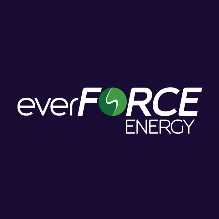 everFORCE Energy logo design
