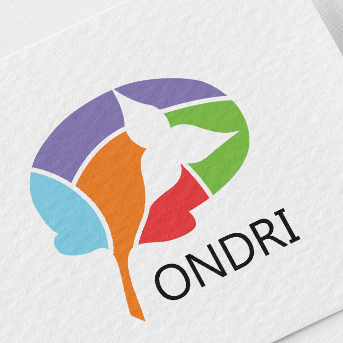 ONDRI branding suite and logo design